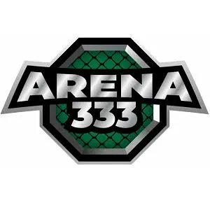 arena333 APK Arcade